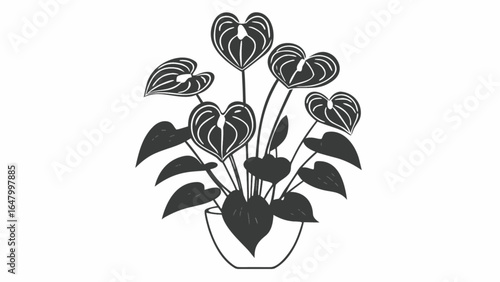 Illustration of anthurium plants with heart shaped flowers in a flower pot