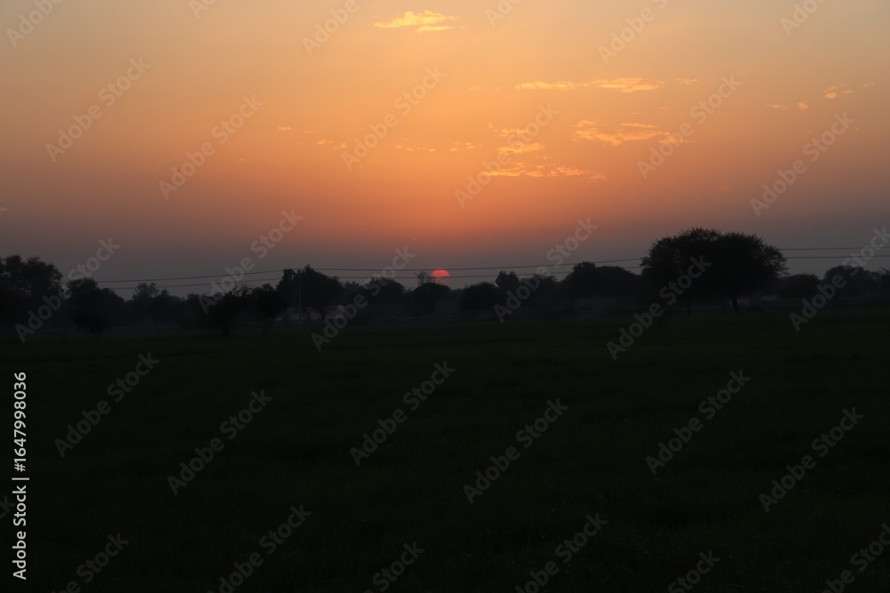 Fototapeta premium Golden sunrise over a silhouetted landscape with trees and fields, casting a warm glow