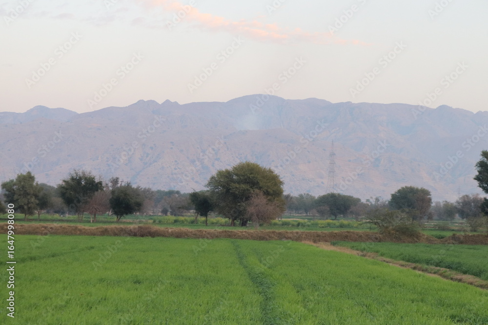 Obraz premium Green fields and trees stretch towards distant mountains under a soft, cloudy sky