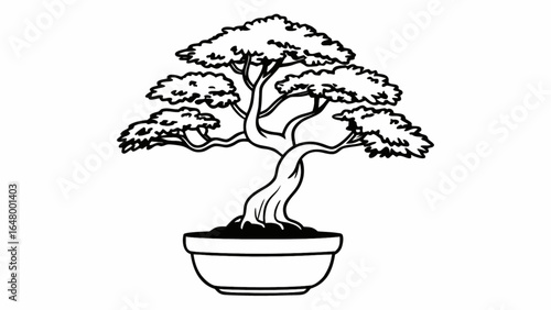 Illustration of a bonsai tree in a pot with detailed leaves and branches