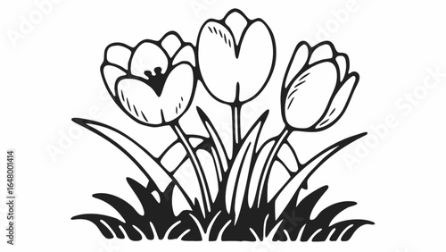Illustration of three tulips with leaves in black and white line art style