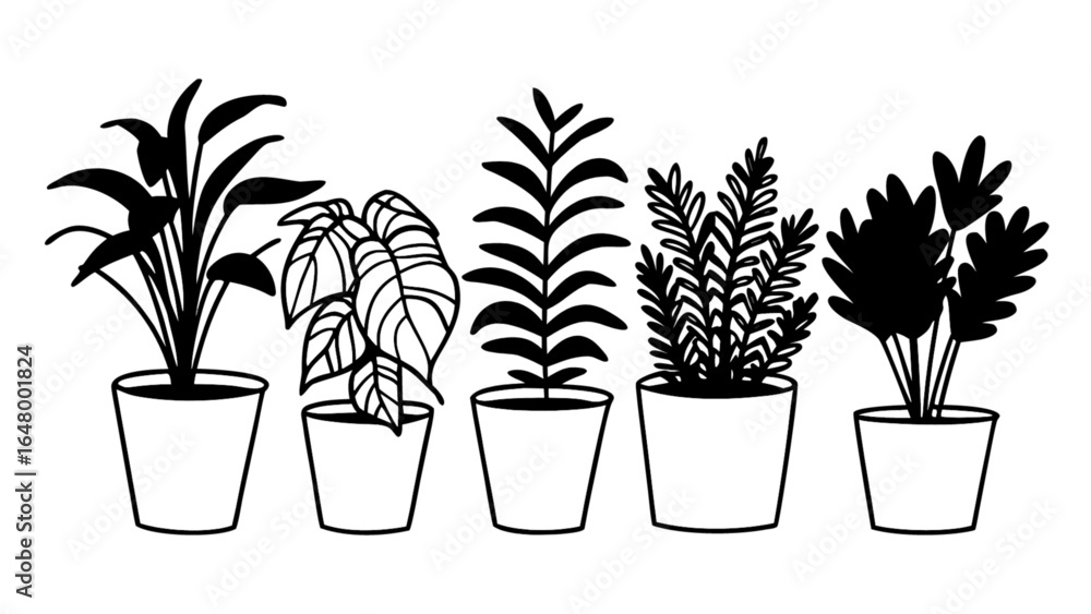 Illustration of five potted plants in a row with various leaf shapes and sizes Illustration of five potted plants in a row with various leaf shapes and sizes