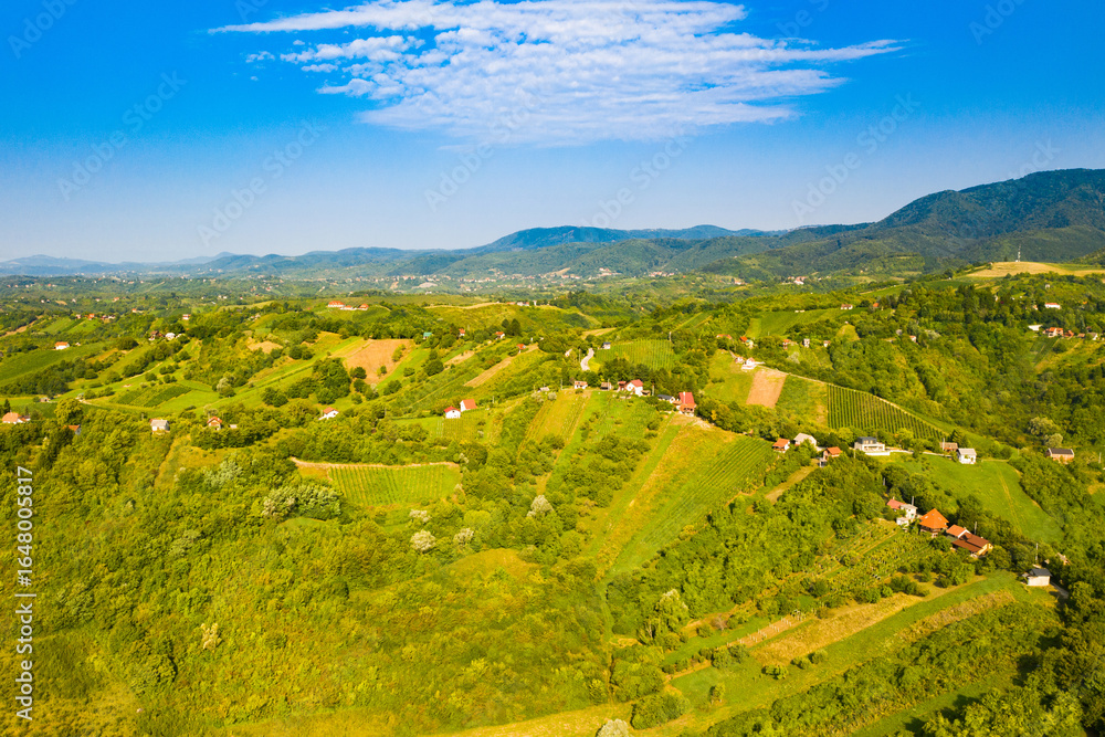 Obraz premium Picturesque landscape in Plesivica in Croatia, popular Croatian wine region and tourist destination