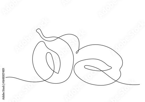 Two graphic linear vector plums cut in a single line