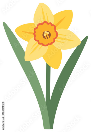 Daffodil flower illustration with bright yellow petals and green leaves in clean flat vector style for seasonal floral decorative design projects