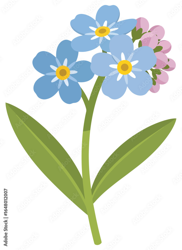 Fototapeta premium Forget me not flower illustration with blue petals and green leaves in clean flat vector style for seasonal floral botanical decorative design themes