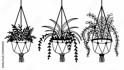 Illustration of three hanging plants in macrame planters in black and white
