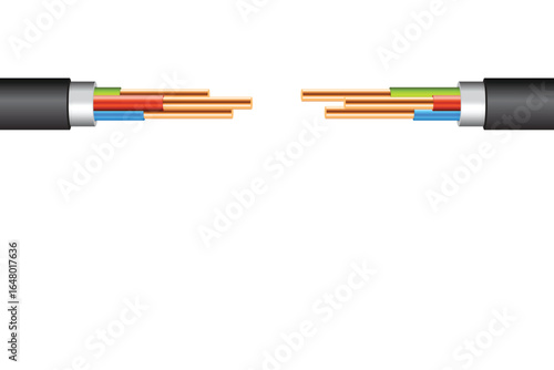 A section of black cable is split in the middle, with copper wires showing at both ends and colored insulation partially visible. The background is plain white.