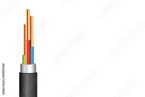 An electrical cable is isolated against a white background. It contains copper wires, color-coded insulation, a silver layer, and a black outer jacket.