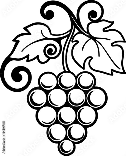 SVG vector illustration of grapevine style.Black and White Grapes Vine Illustration with Leaf Design