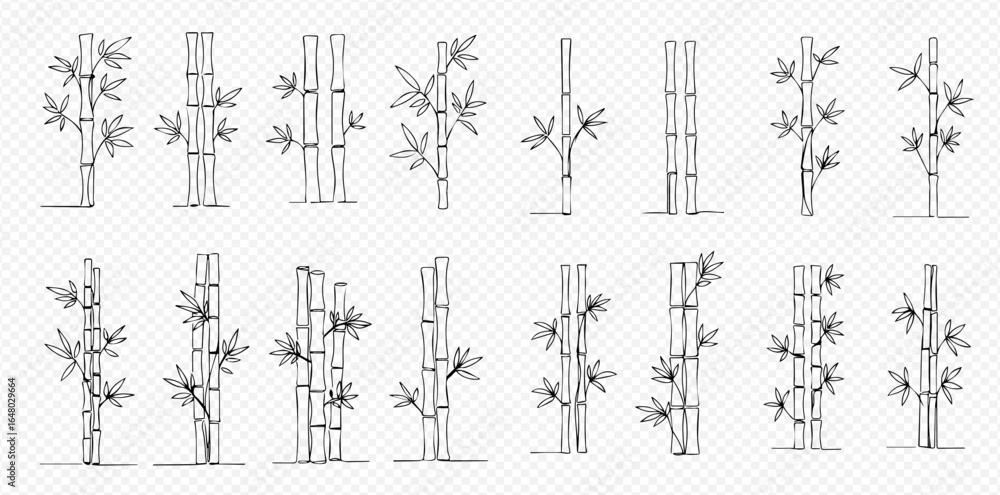 Naklejka premium A collection of hand-drawn bamboo stalks and leaves in a black and white line art style on a transparent background.
