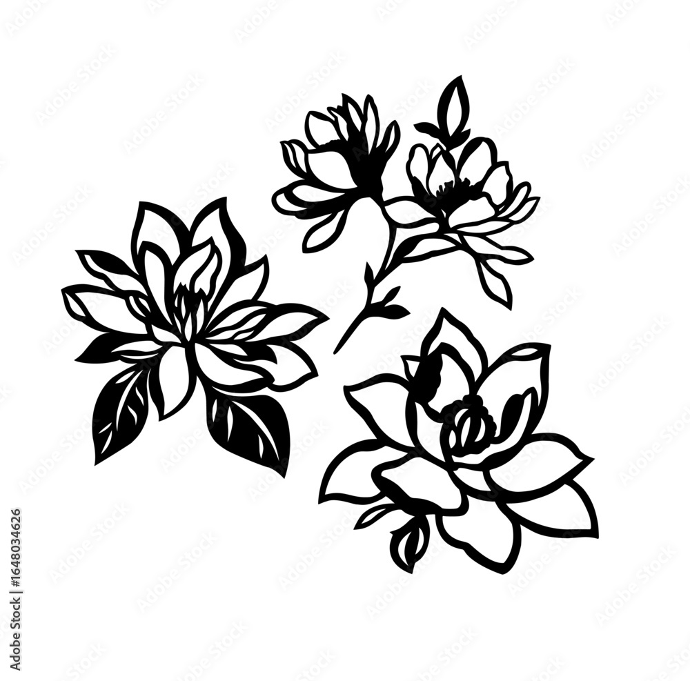 Fototapeta premium Flowers, branch with flowers, Vector