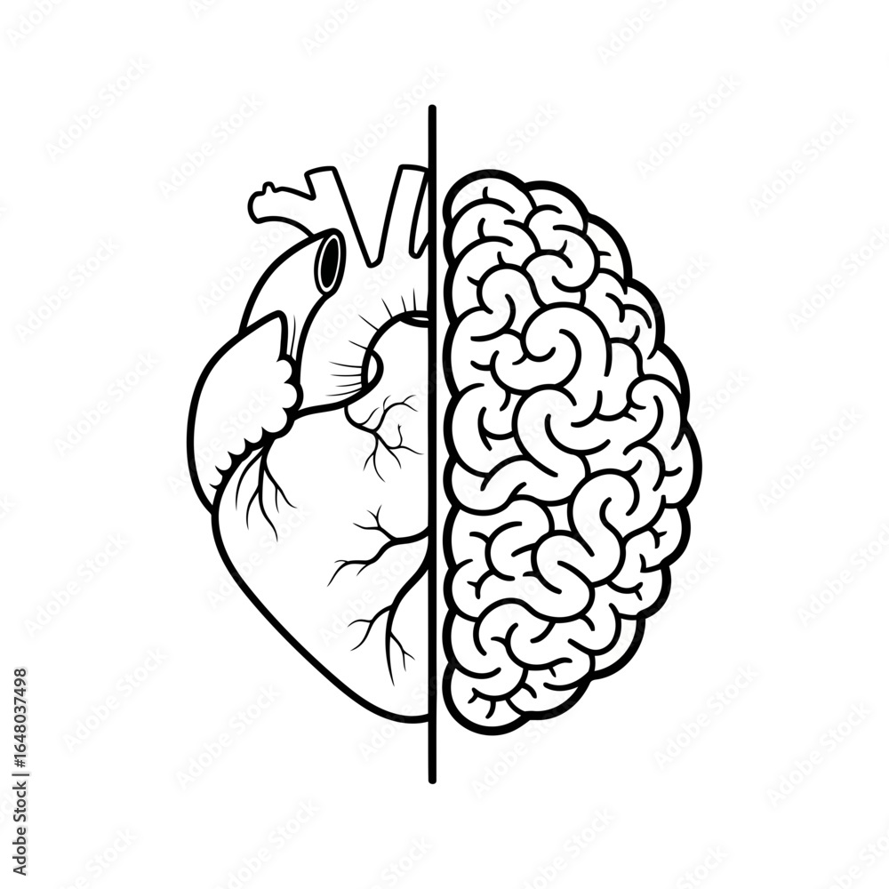 Fototapeta premium Split image showing human heart on one side and human brain on the other, isolated on white background