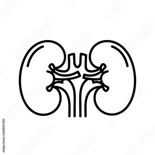 Stylized line art illustration of human kidneys, representing renal anatomy and the urinary system, isolated on white background