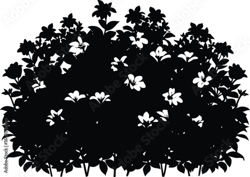 Azalea Hedge In Bloom Silhouette | Lush Azalea Garden Bush Silhouette