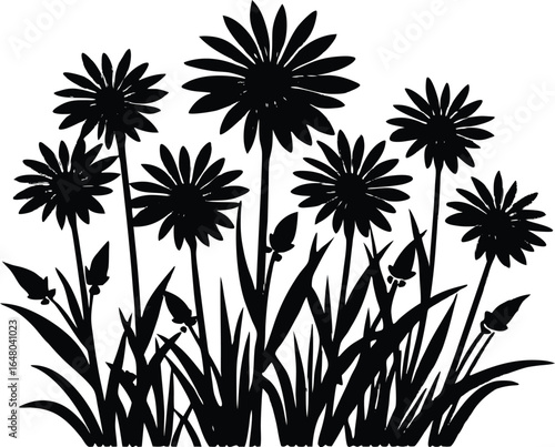 Wild Daisies In Grass Silhouette | Fresh Daisy Meadow Silhouette