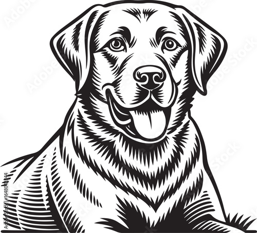 Happy Labrador Illustration