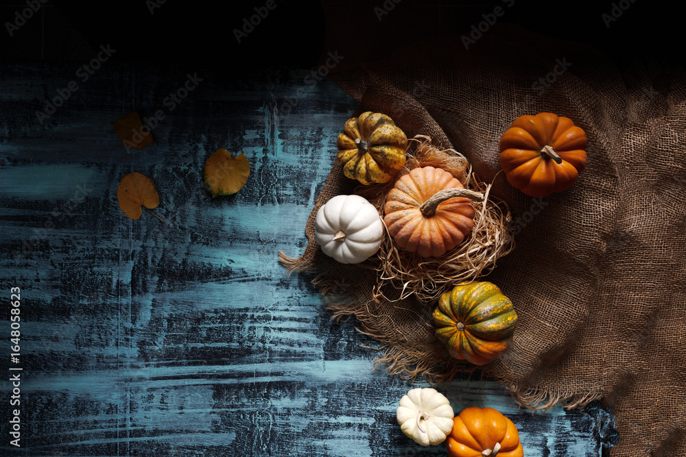Fototapeta premium Autumn Harvest Pumpkin Display