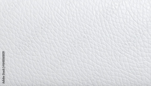 Close-up view of white leather texture