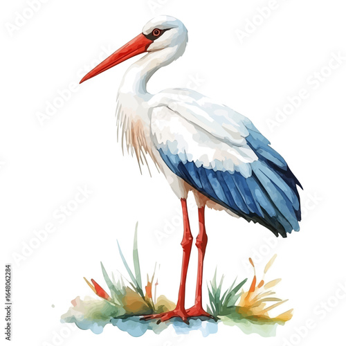 Stork, watercolor illustration vector, isolated on a white background.