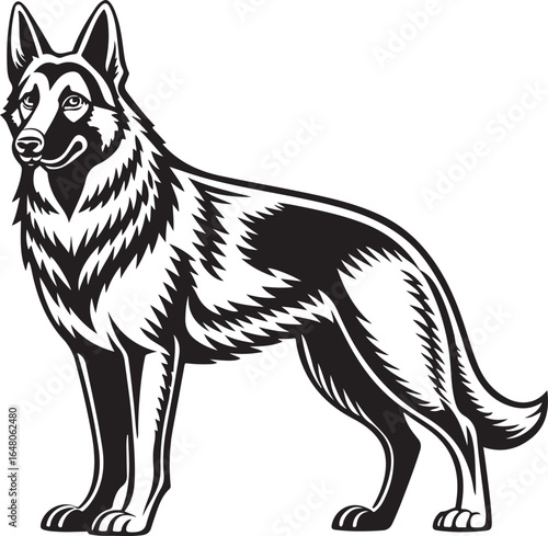 Detailed German Shepherd Standing Illustration