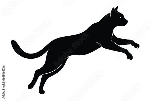 Silhouette of a Black Cat Jumping, Showing Graceful Agility and Athleticism in Motion