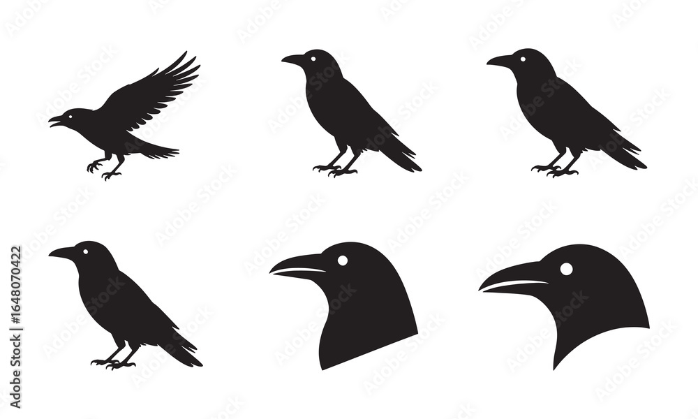 Fototapeta premium Bird Silhouette Icons Collection for Nature Design