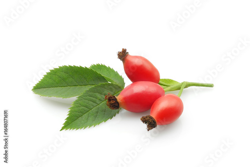 Branch of fresh rose hips with red fruits and leaves isolated on white background	