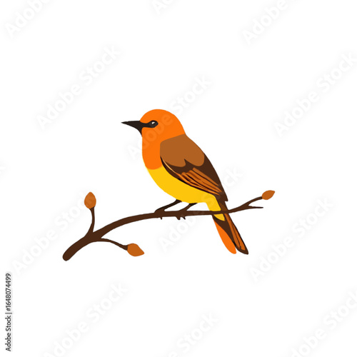 Bird on a Branch