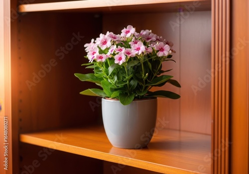 Wallpaper Mural Potted pink flower with green leaves on a wooden shelf in a home interior Torontodigital.ca