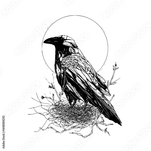 Detailed black and white drawing of a raven perched on a nest with a circle in the background art piece