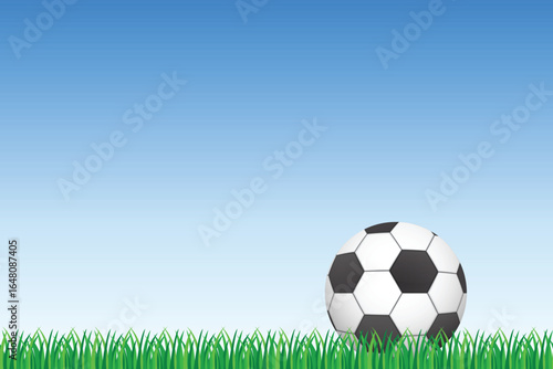 A soccer ball sits in green grass, set against a gradient blue sky, creating a simple outdoor scene that evokes play, sport, and the promise of an active day.