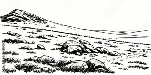 Black and white landscape drawing of a grassy field with rocks and a mountain in the distance created with generated ai