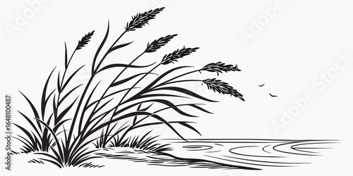 Illustration of reeds and grass by a body of water with birds flying in the distance in black and white created with generated ai