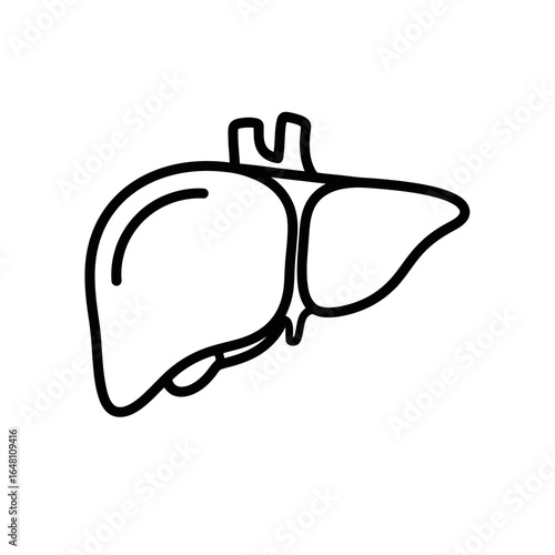Medical Diagnostics Liver Illustration Vector Icon  