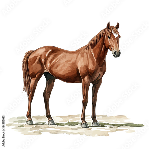 Horse, watercolor clipart vector, isolated on a white background.