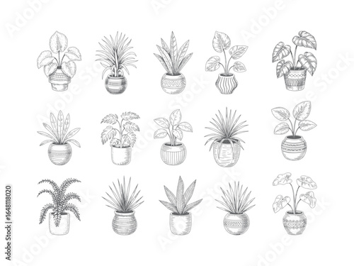 Vintage-style flowers in pots illustrated in engraving style. Elegant compositions of indoor potted plants and botanical vase arrangements.