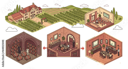 Isometric vineyard wine tasting cellar winery barrels grapes illustration estate sommelier tour tasting room