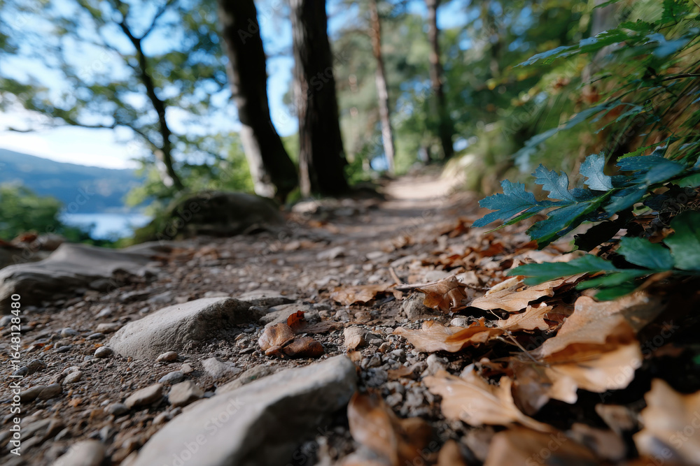 A close-up view of a nature pathway surrounded by lush trees and fallen leaves, providing an inviting trail that beckons outdoor lovers to explore the serene wilderness. A close-up view of a nature pathway surrounded by lush trees and fallen leaves, providing an inviting trail that beckons outdoor lovers to explore the serene wilderness.
