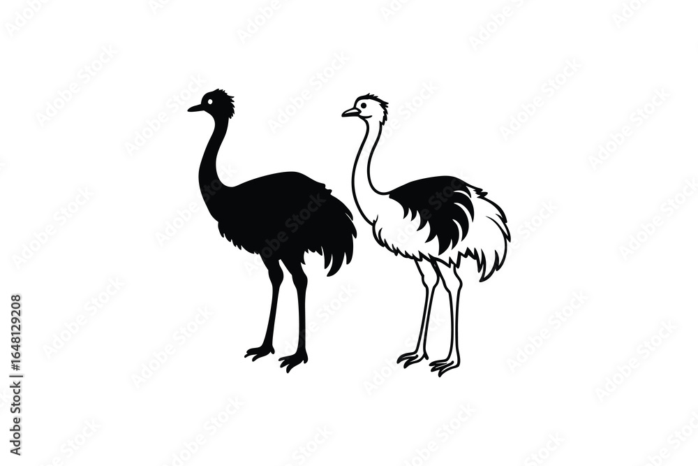 Fototapeta premium Two ostriches standing side by side in black and white illustration silhouette