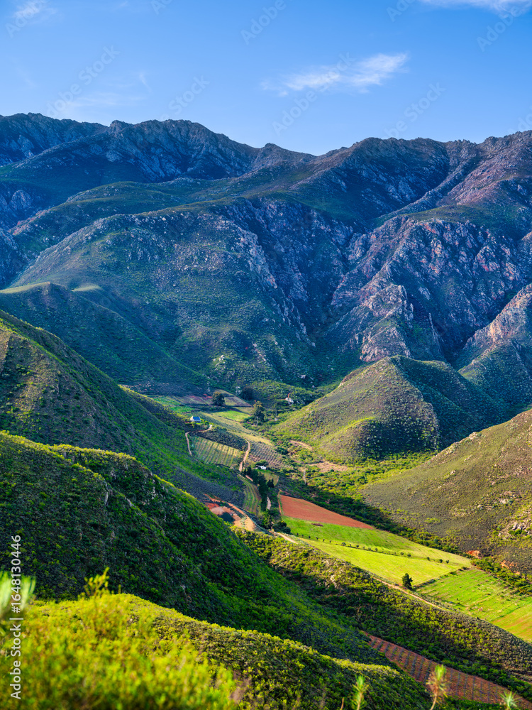 Fototapeta premium Vertical: Narrow valley with vineyards and Langeberg Mountains, Robertson, South Africa