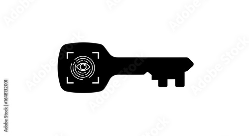 Biometric key icon with iris scan for secure digital authentication and access control vector illustration.