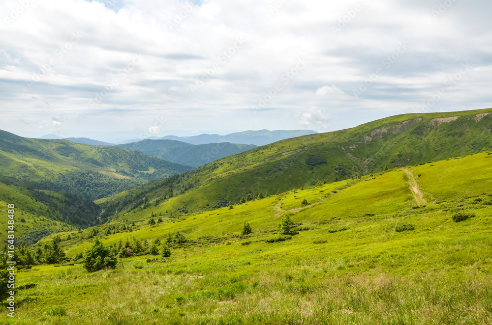 Naklejka premium Idyllic view of vibrant green hills lush grass and distant mountains under calm blue sky. Perfect for nature travel and outdoor concepts emphasizing tranquility and scenic beauty. Carpathian Mountains
