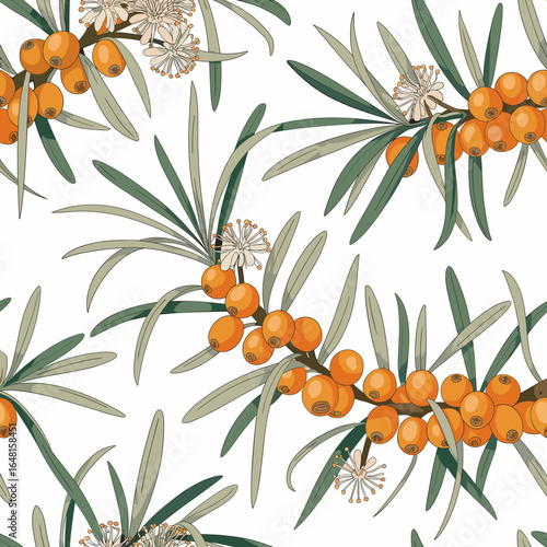 Seamless sea buckthorn pattern with detailed berries and leaves on white background, botanical vector design