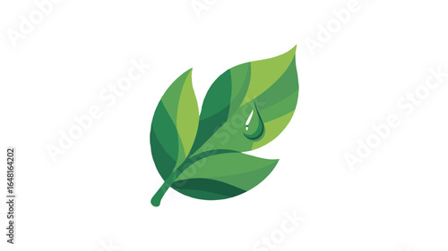 A vibrant green leaf with a single water droplet, symbolizing freshness and nature's purity.