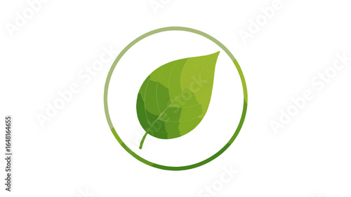 A single leaf icon, symbolizing growth and sustainability.
