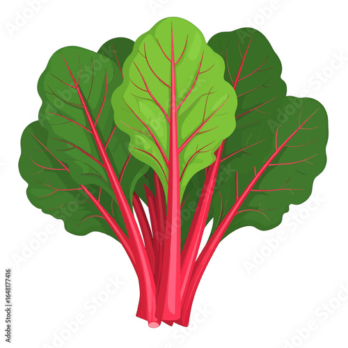 Fresh Swiss Chard with Vibrant Red Stems and Green Leaves