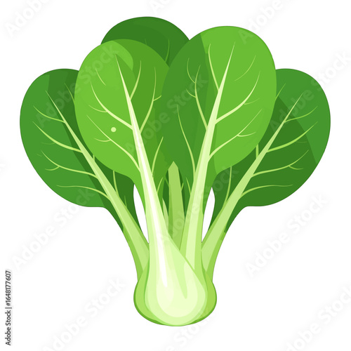 Cartoon Illustration of Fresh Green Bok Choy Vegetable