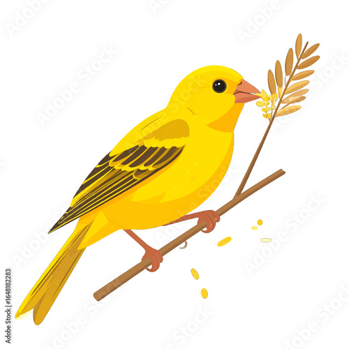 Bright Yellow Canary Bird Perched on Branch Eating Seeds