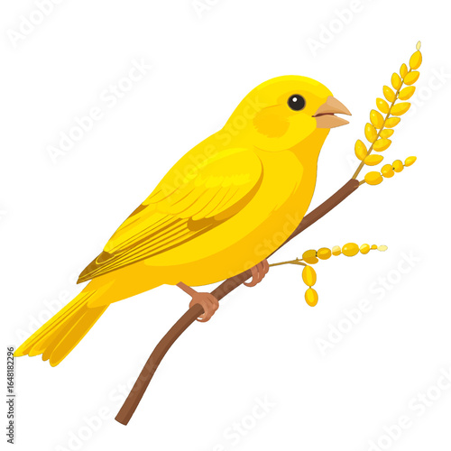 Bright Yellow Canary Perched on a Branch with Seeds